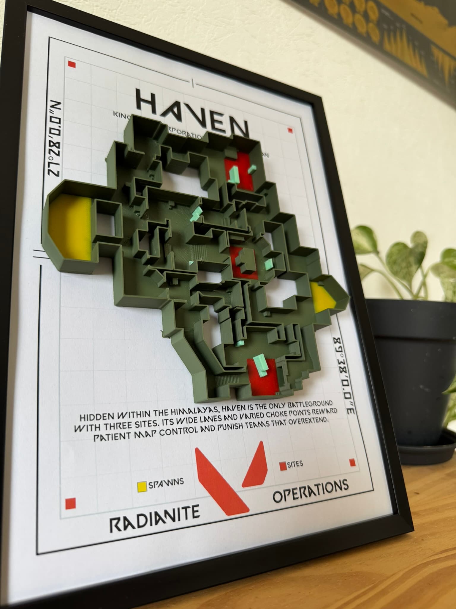 Détail d'un motif floral en relief